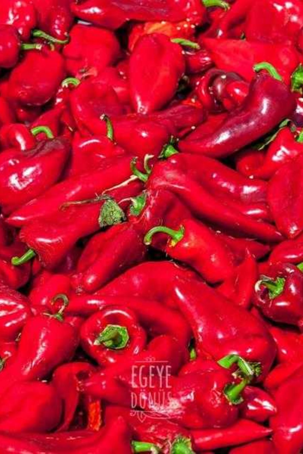 Tatlı Biber Salçası - 500 Gr - davmarket.com